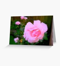 Soft Pink Greeting Card