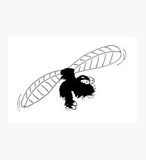 whirligig Photographic Print