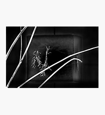 Dark Ages. Photographic Print