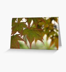 Green Leaves Greeting Card