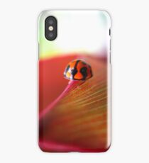 Ladybird on Cordyline iPhone Case iPhone Case