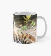 Eyes of the Tiger Mug