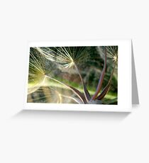 Gone to Seed Greeting Card