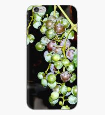 Grapes iPhone case iPhone Case
