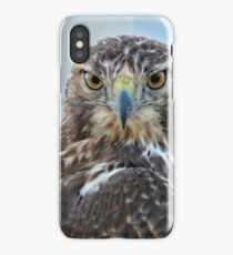 Red Tailed Hawk Close Up iPhone Case