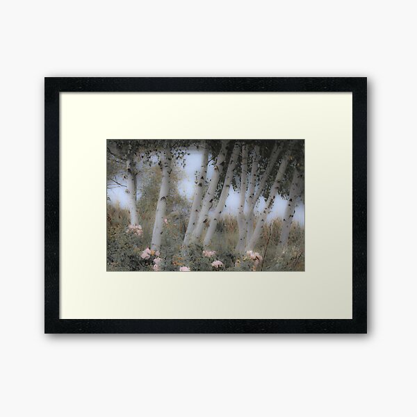 Rose and Birch Framed Art Print
