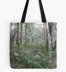 Travels in Walpole Tote Bag