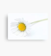 Pure Metal Print