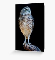 The Burrower Greeting Card