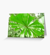 Rainforest in drizzle Greeting Card