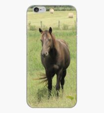 Horse iPhone Case iPhone Case
