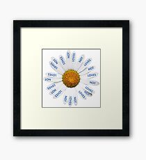 Loves Me? Loves Me Not? Framed Print