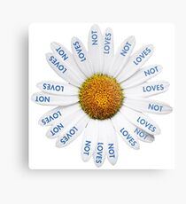 Loves Me? Loves Me Not? Metal Print