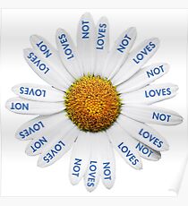 Loves Me? Loves Me Not? Poster