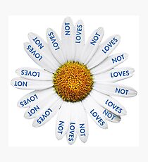 Loves Me? Loves Me Not? Photographic Print