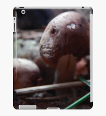Mushroom Kingdom iPad Case/Skin