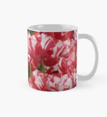 Bicolor Mug