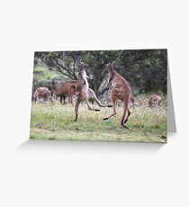 Kangaroos tail standing Greeting Card
