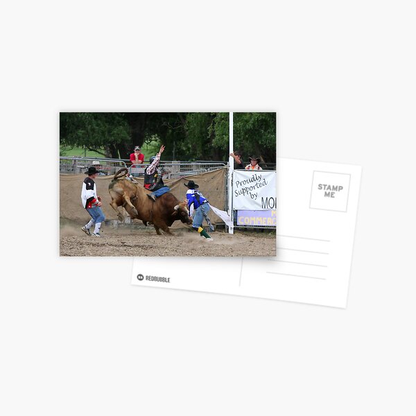Moruya Rodeo New Years Day 2010 Postcard