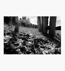 Day 30 Photographic Print