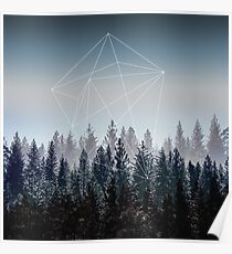 Woods Poster