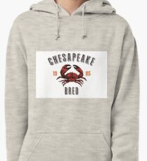 Chesapeake Bred Pullover Hoodie