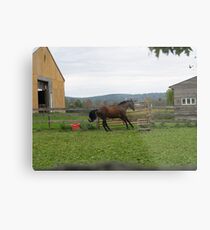 New Jersey Horse Farm Metal Print