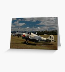 Airabonita @ Festival Of Flight, Queensland, 2011 Greeting Card
