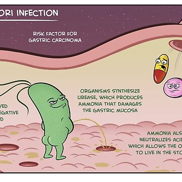 "Helicobacter Pylori Infection" Poster for Sale by Medcomic | Redbubble