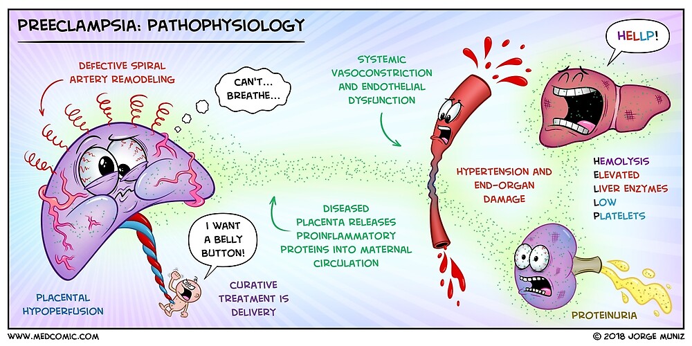 etiology vs pathology