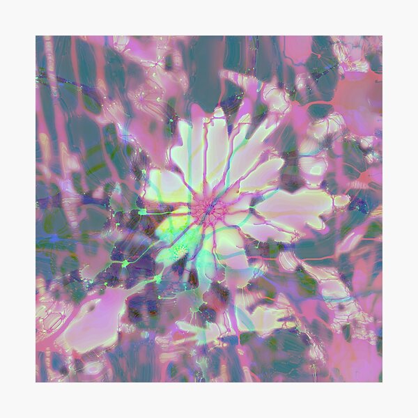 Floral abstraction Photographic Print