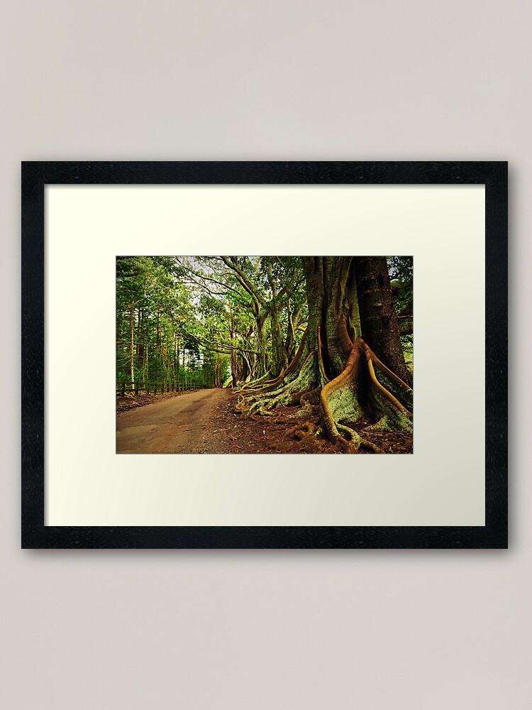 Alternate view of New Farm Road - Norfolk Island Framed Art Print