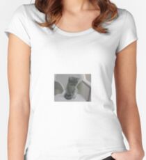 Adorable kitten!!!! Women's Fitted Scoop T-Shirt