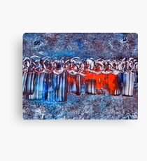 Boris Canvas Print