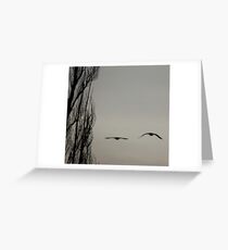 Buddha Eyes Greeting Card