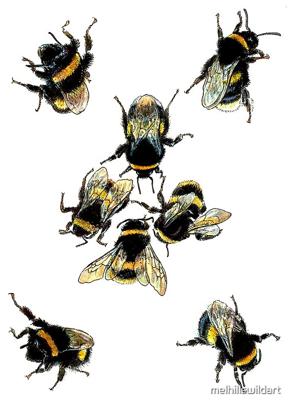 bumbled bees