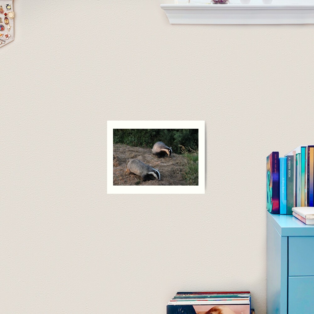Double trouble Art Print