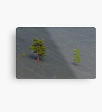 Survival II Metal Print