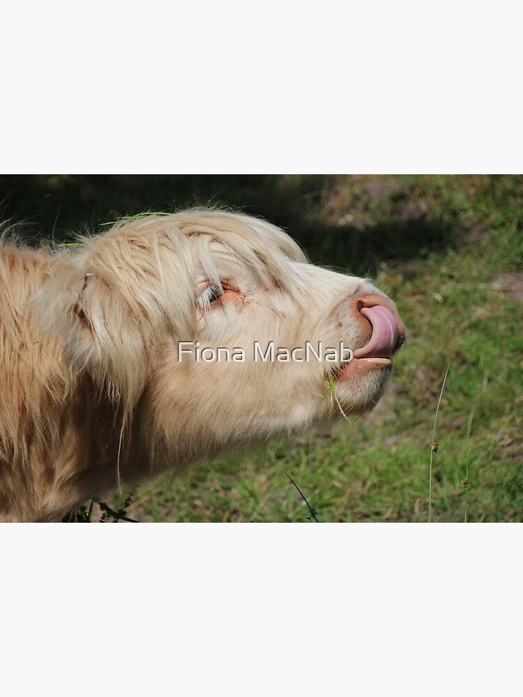 Lick by orcadia