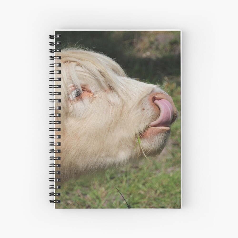 Lick Spiral Notebook