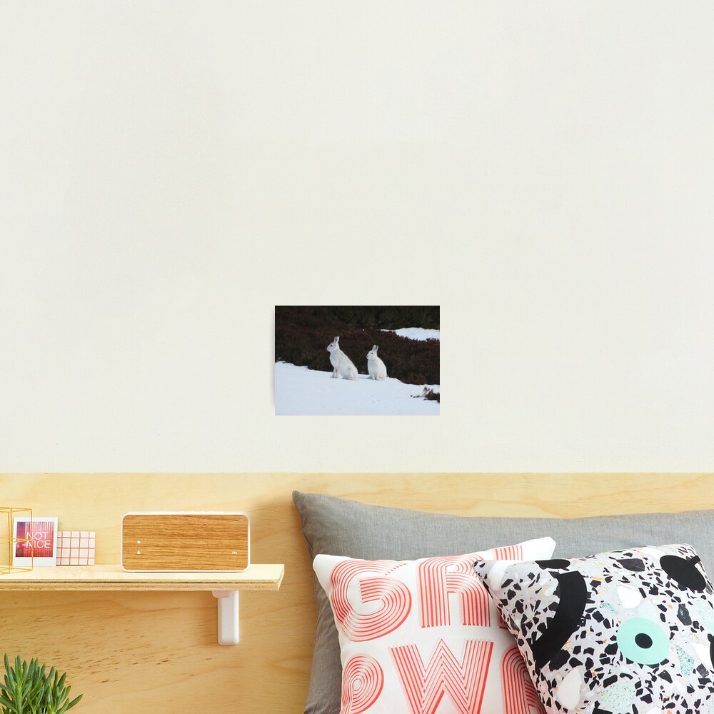 Winter coats Photographic Print
