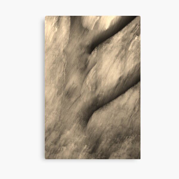 The Feeling Of Loss Canvas Print