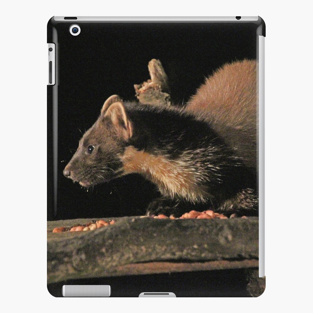 Pine marten iPad Case & Skin