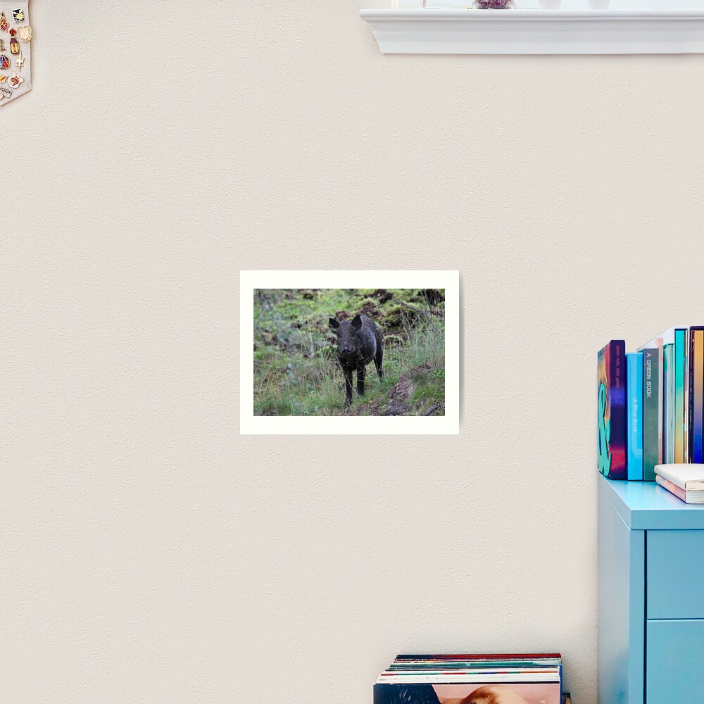 Wild boar Art Print