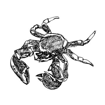 Artwork thumbnail, Maria the Crab by Wildcard-Sue