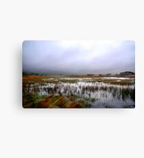 WETLANDS Canvas Print