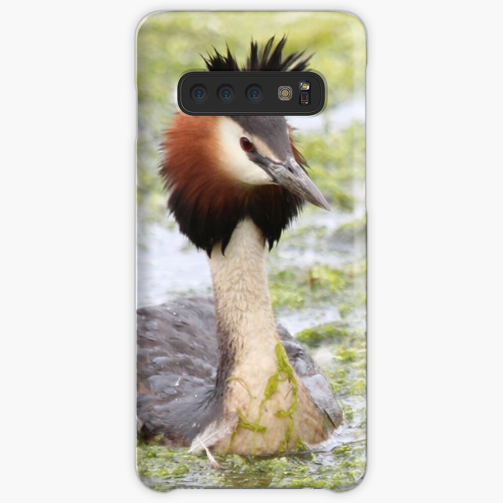 Great crested grebe Case & Skin for Samsung Galaxy