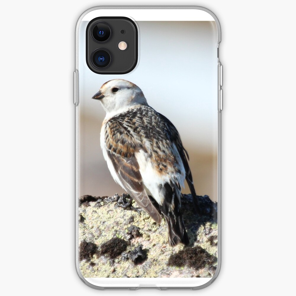 Snow bunting iPhone Case & Cover