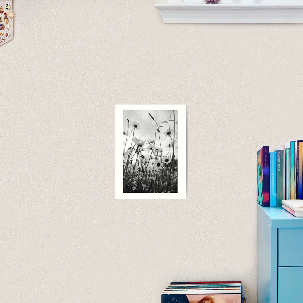 Oxeye daisies Art Print