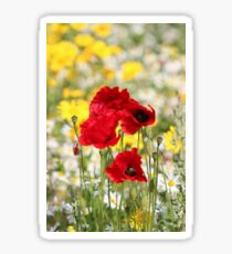 Poppy portrait Sticker